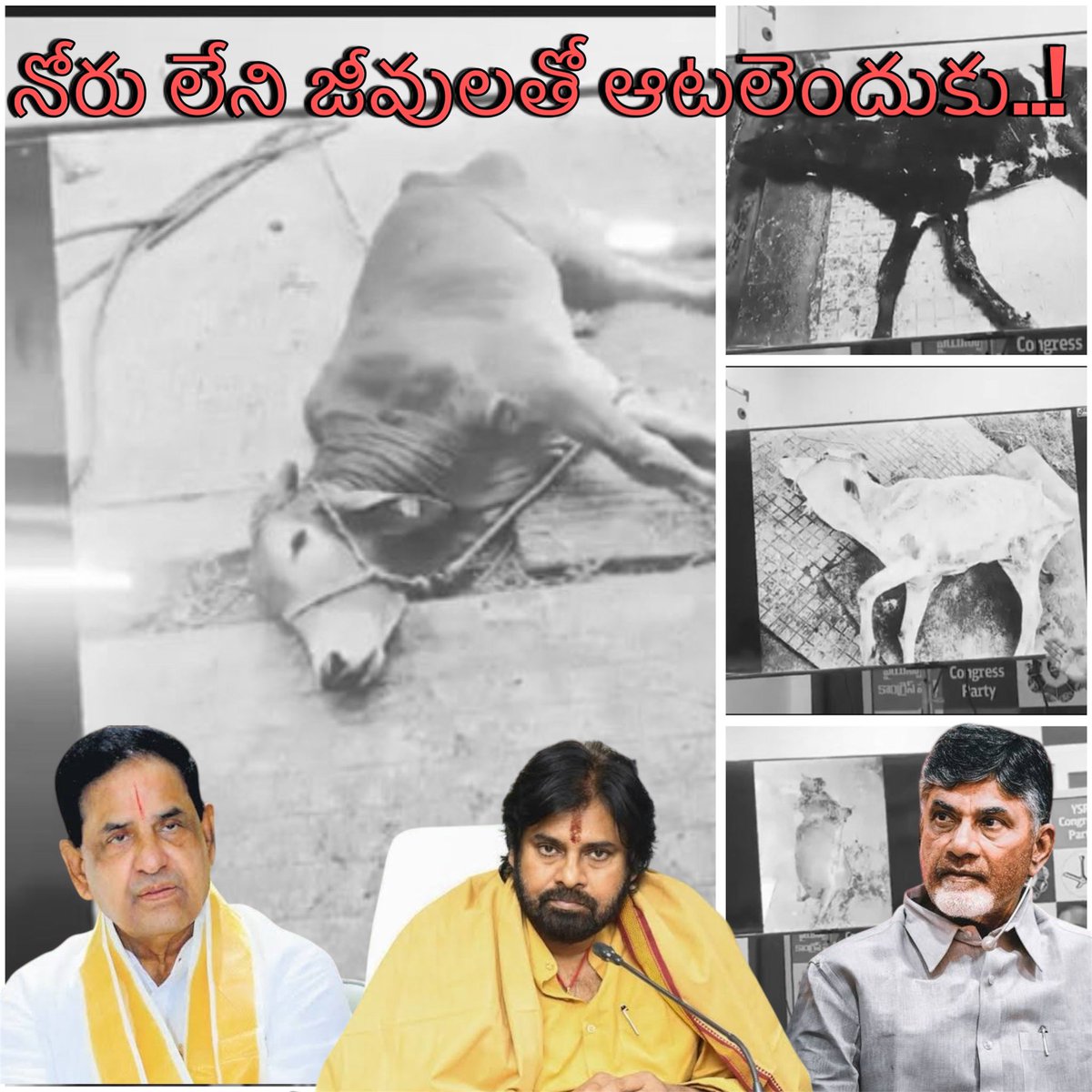 Darshan_Ysj's tweet image. నోరున్న మనుషులకు ఆశలు పెట్టీ గెలిచి.. నిట్టనిలువునా ముంచేసారు..

కనీసం..
నోరు లేని జీవులను కూడా చూసుకోలేరా?? @ncbn @PawanKalyan @BollineniRNaidu 

#AndhraPradesh
#JusticeForTTDCows
#SaveTirumala #SaveAP
#tirumala #Tirupati
#tirumalatirupatidevasthanam
#CBNFailedCM #CBNSadistRule