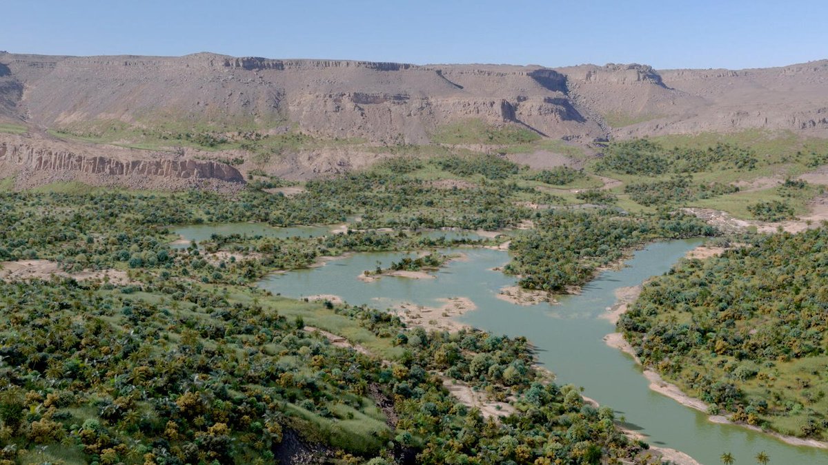 francetvpro's tweet photo. #Audiences #France5

Belle performance du documentaire "Sahara vert, l'énigme du paradis perdu" de Saleha Gherdane #J2FProduction avec @MuseumNatHistNaturel diffusé dans #ScienceGrandFormat qui a rassemblé

🔸970 000 tvsp
🔸5,6% de PdA

▶️Disponible sur https://t.co/JqV7mXAoWY https://t.co/EAZS3BPhZ2