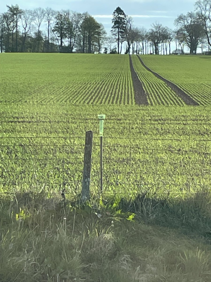 charlie beattie tweet media