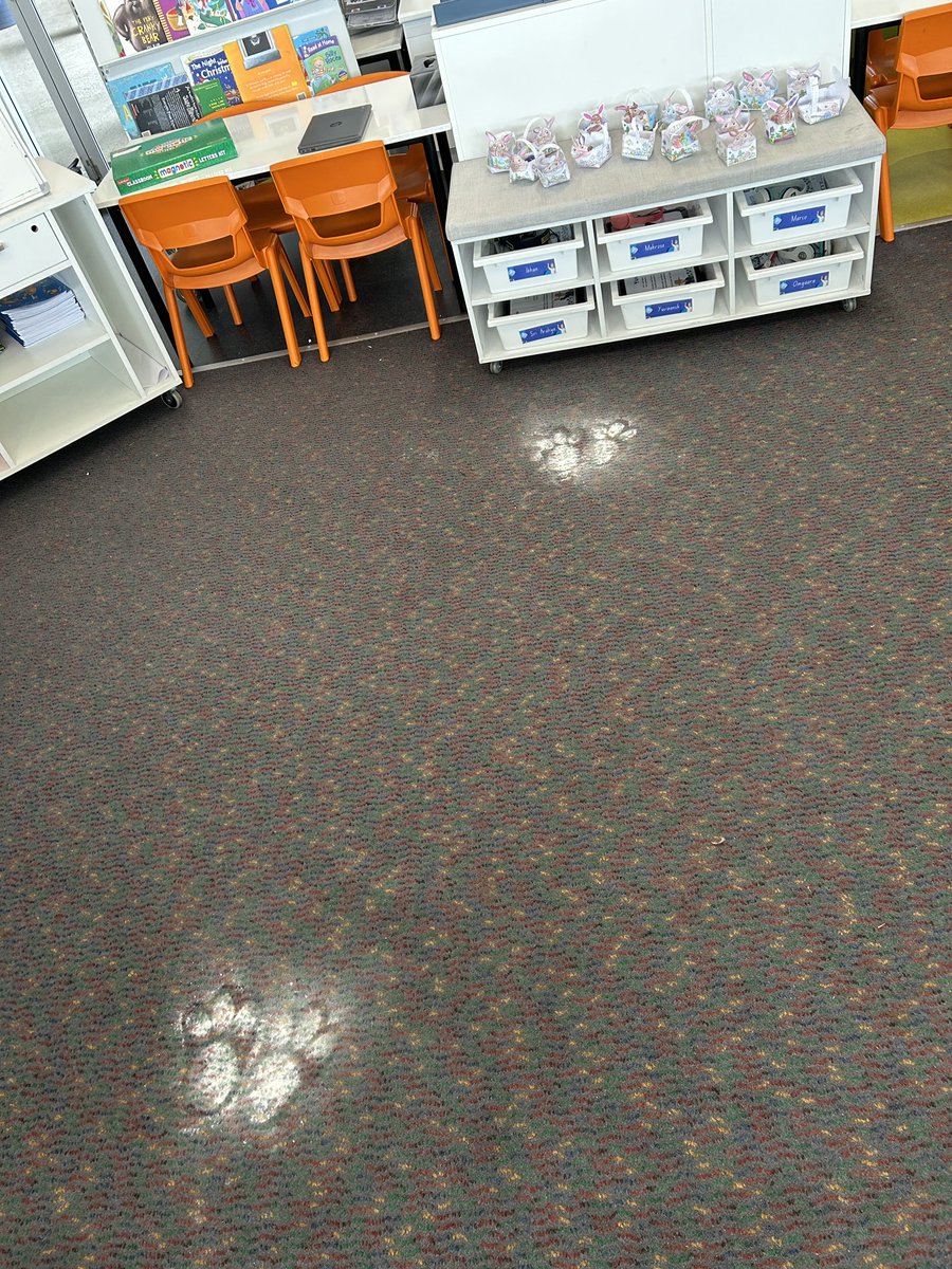 GoversJeffrey's tweet photo. And the Easter Bunny visited K Tulips this year. The anticipation was real #teacher #story #easter #Kindergarten https://t.co/LOJrjb7scz