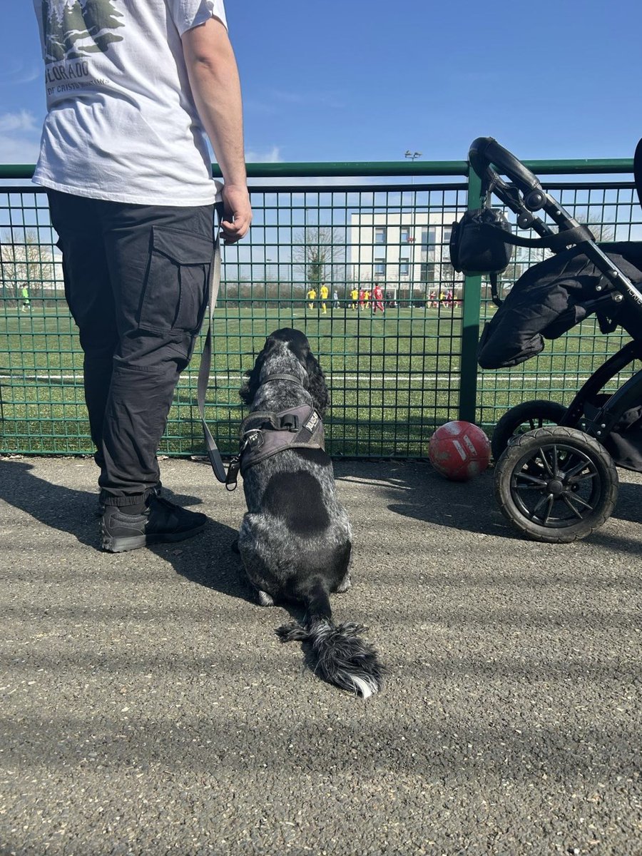 🐾 Did you know we are a dog-friendly venue? So, if you're coming down to watch a game, feel free to bring your four-legged friend along!