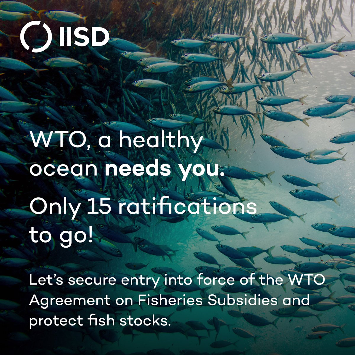 Just 1️⃣5️⃣ more ratifications for the <a href="/wto/">WTO</a> 🐟 deal to enter into force!

With Moldova's recent acceptance, 96 members are on board to curb harmful fishing subsidies. Let’s keep pushing forward to protect fish stocks &amp; coastal communities. 🌏

💡 Learn more: iisd.org/articles/iisd-…