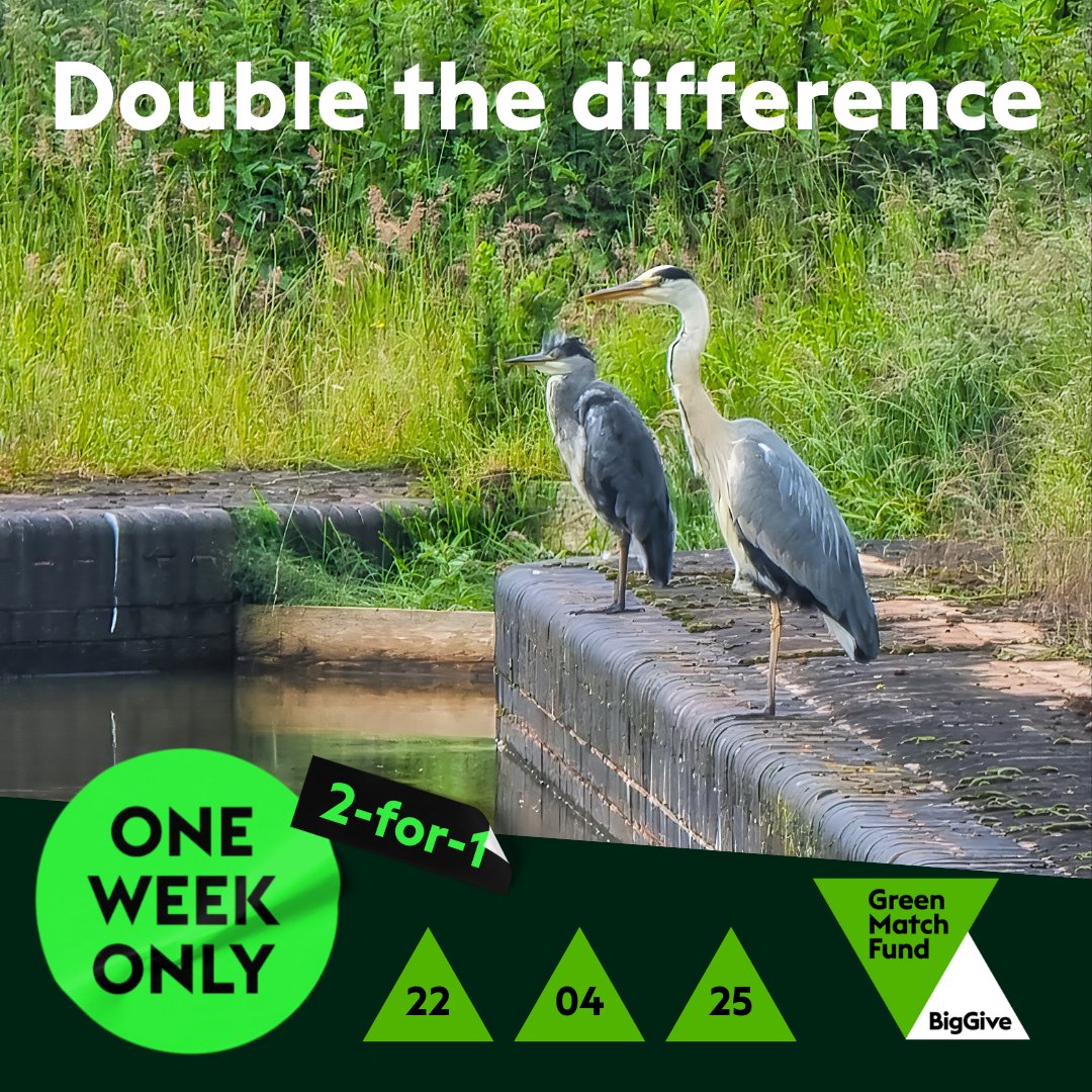 GET READY! For one week only - your donation will be DOUBLED!

From April 22-29, every £1 you give to our Big Give #GreenMatchFund appeal goes twice as far - to fund a vital new lock for the Lichfield Canal 💚🌊

Double the difference. Double the impact.

lhcrt.org.uk/donate/big-giv…