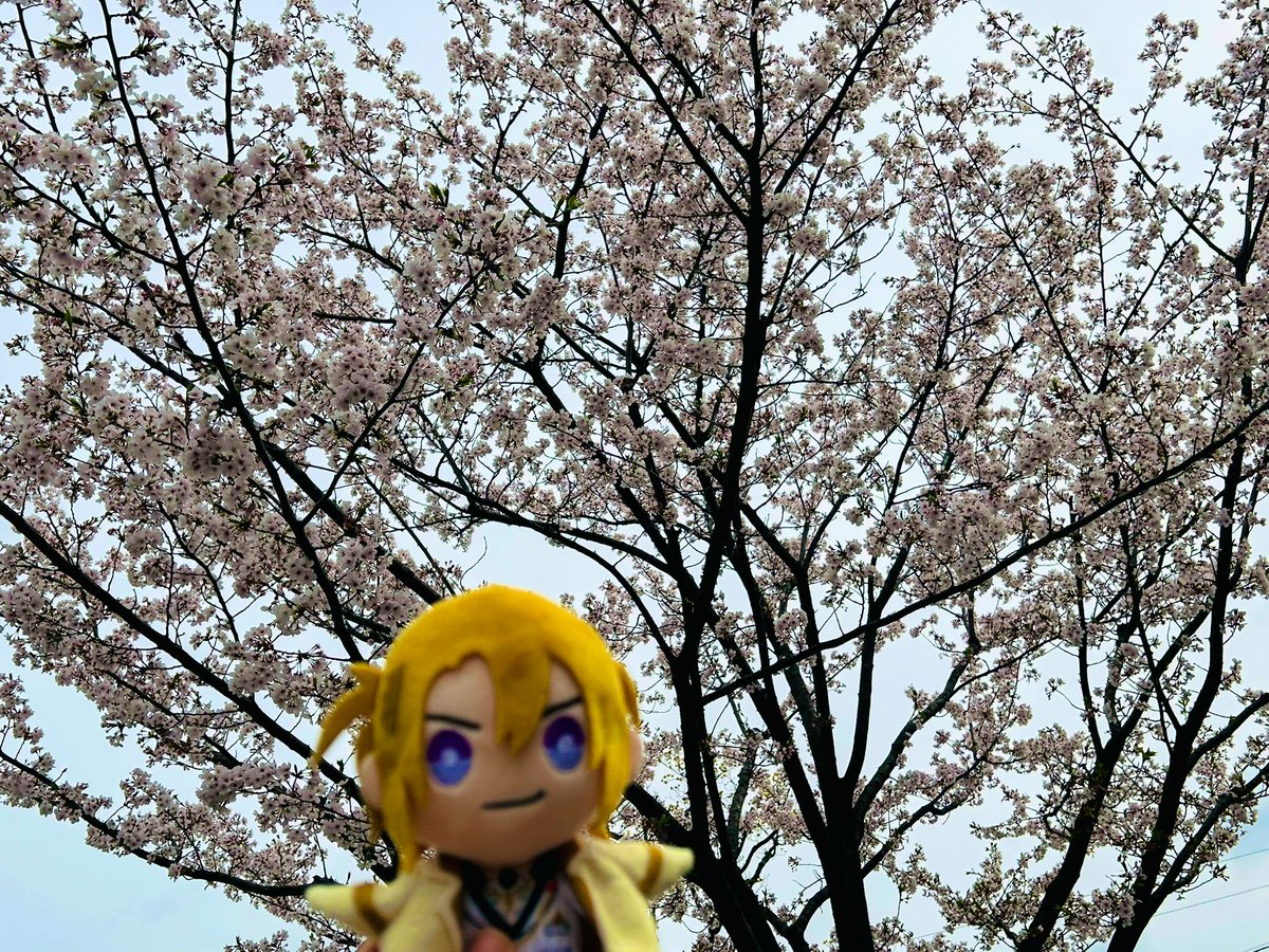 tetanurae_tr's tweet photo. 1日遅れたけど広告撮れました嬉しい！素敵な企画をありがとうございます！ルカくんもおめでとう！🥳
ほんで今日は自分も誕生日なので午後休とって食べたかったロイヤルミルクティーパンケーキ食べました💪
今年の抱負は貯金です！(にじオフィシャルサイトを開きながら)

#PogBossAd #LucaPOGday2025 https://t.co/11vXJwvxo7