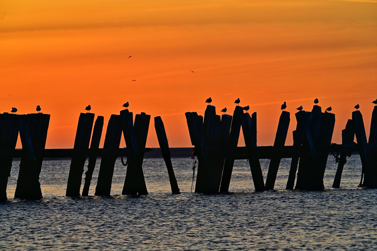 Keith Fenwick tweet media