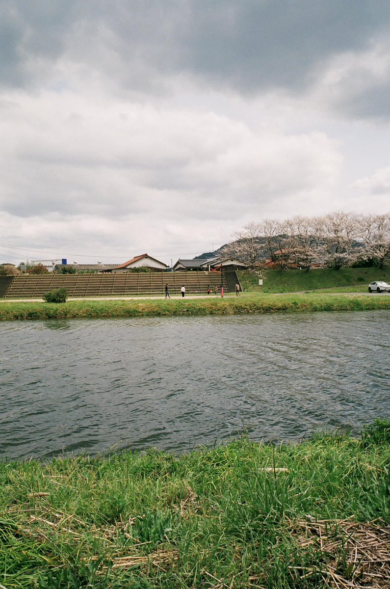 yamsan's tweet photo. YAMPHOTO, CONTAX G1と深川川土手と桜の花と3x3
https://t.co/hxKfzAD9AK

#フィルム写真
#フィルムカメラ
#filmcamera
#35mm
#filmphotography 
#FUJIFILM
#FJICOLOR100
#contax
#contaxG1
#CarlZeiss
#Biogon28mm28 
#Biogn
#nagatocity
#長門市 https://t.co/tnywbIsXZh