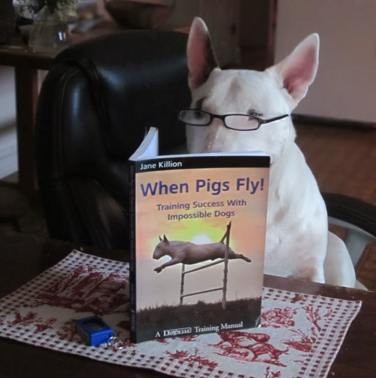 Hailey Mule (@mulehailey) on Twitter photo 