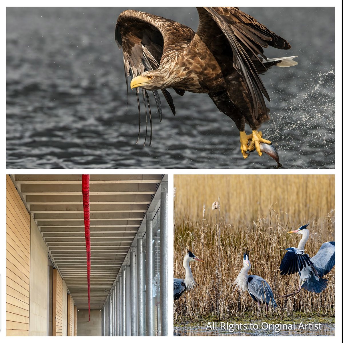 South Manchester Camera Club tweet media