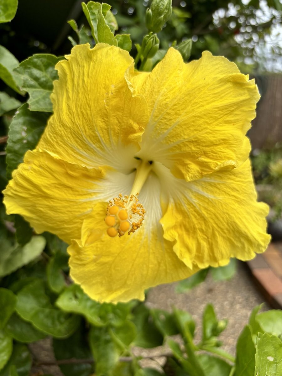 GloriaGAngelica's tweet photo. Let your loving kindness show. Having a really great day? Don't keep it all to yourself but look around, smile warmly at everyone &amp; help make their day great too. So many seemingly happy people, are having a miserable day. BY YOUR SINCERE KINDNESS, their day is made brighter https://t.co/qR0uHSbkNJ