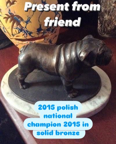 collectibulldog's tweet photo. 100 hours sculpting the clay for the mold. This is #Polands #National #champion 2015 in pure #bronze with its cast number and information on the base https://t.co/G9y1sZ1DU5
