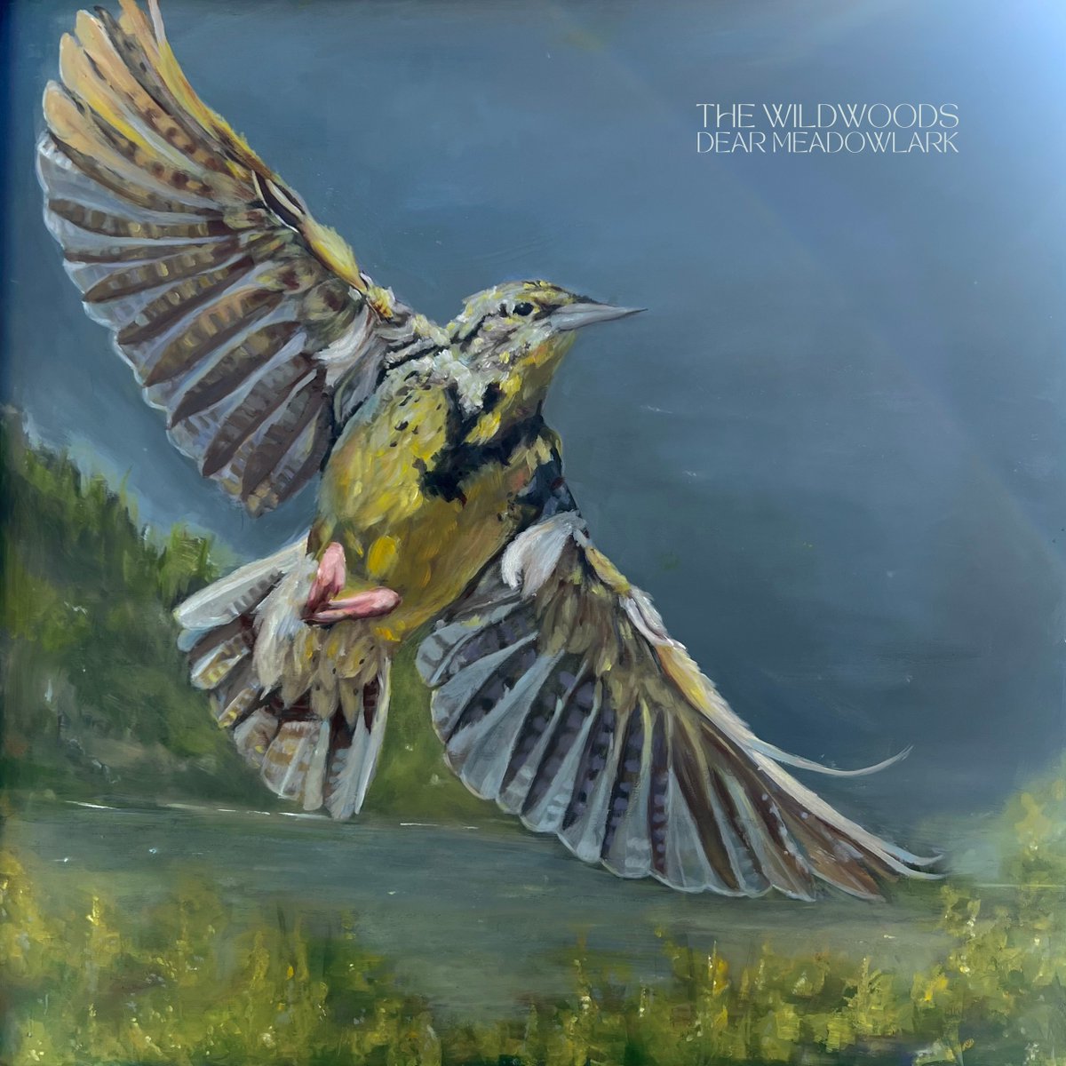 Alternative Roots on BrumRadio tweet media