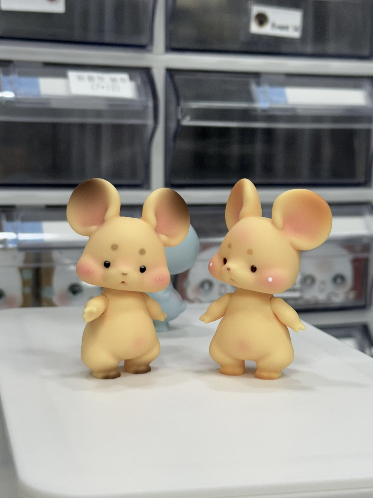 kumukuku”White series”受注のご案内 | risubaco
