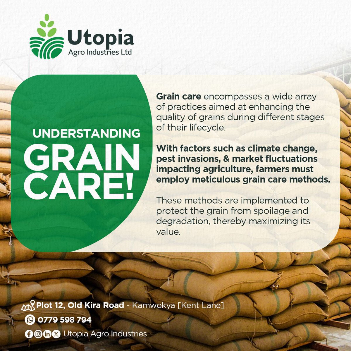 UtopiaAgro's tweet image. Get into the depth of Grain Care:
"Grain care" generally refers to practices that ensure the quality, safety, and storage of grain, encompassing cleaning, storage, and handling to prevent spoilage and contamination.
