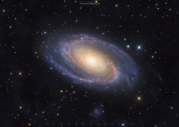 cathyhuang06's tweet photo. Lights: 235x180s (Optolong L-QEF) + 80x180s (Optolong Ha 7nm)
Setup: Omegon CC Pro 200/1870mm, Skywatcher AZEQ6 GT, ZWO ASI 2600mc DUO + Giordano 571M Pro (Touptek)
Image Credit: Tommaso Massimo Stella https://t.co/uktwglQdSx
