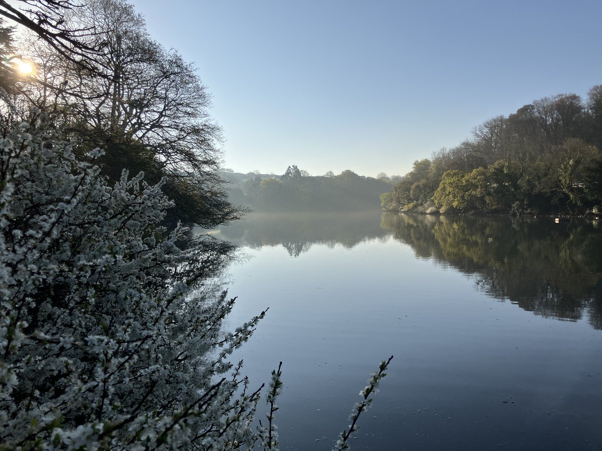 Gemstock tweet media