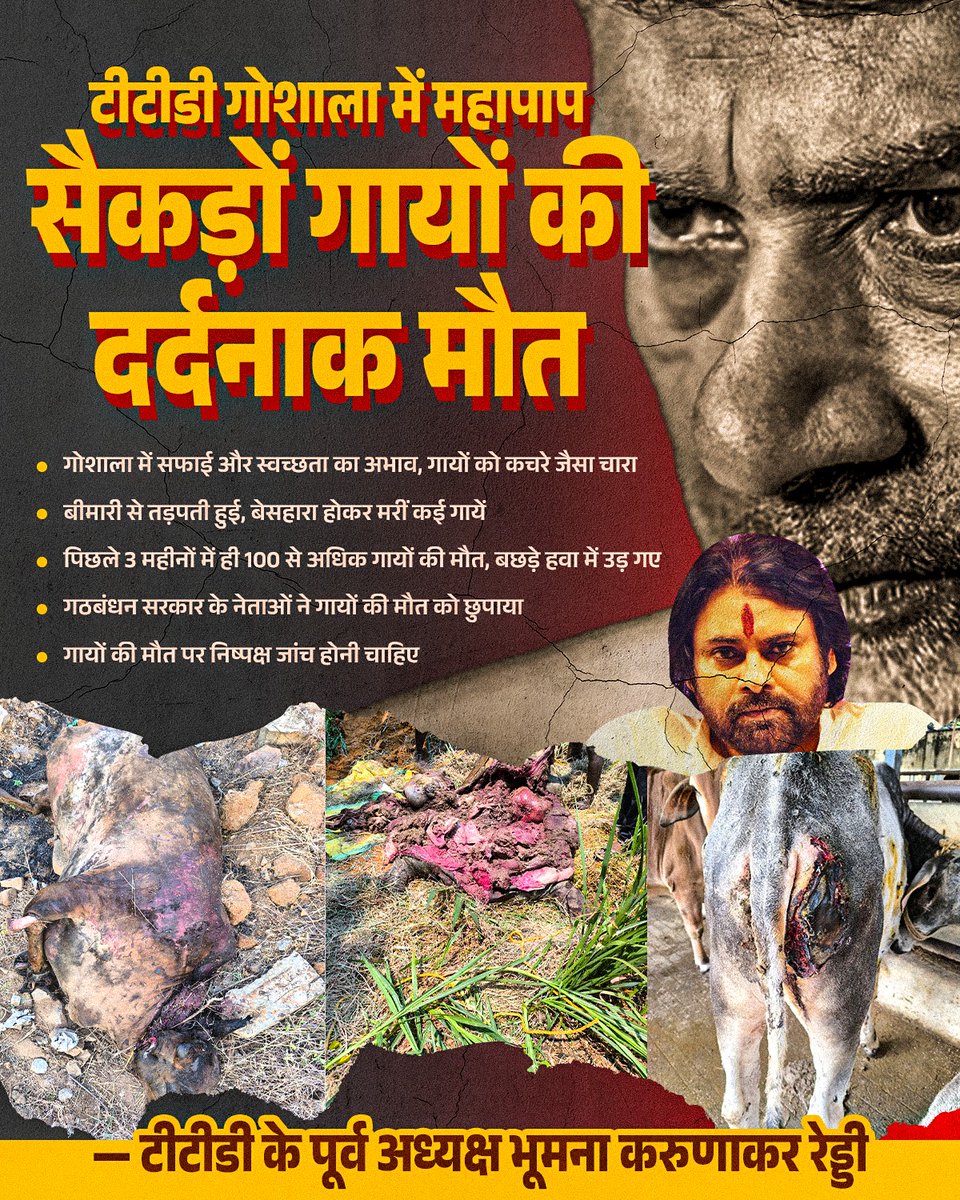 indianbluess's tweet image. #JusticeForTTDCows