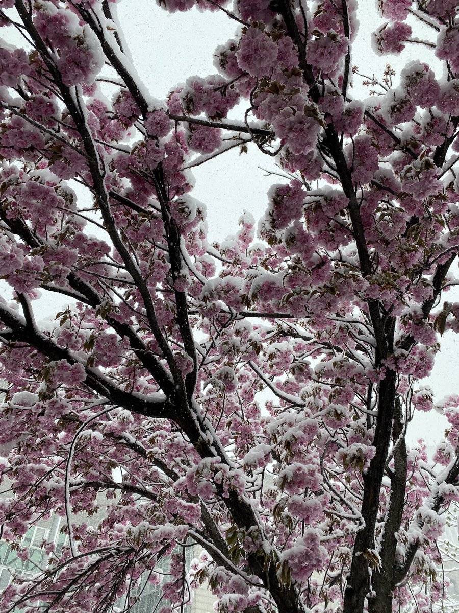 Bir yanımız bahar bir yanımız kış 📸
