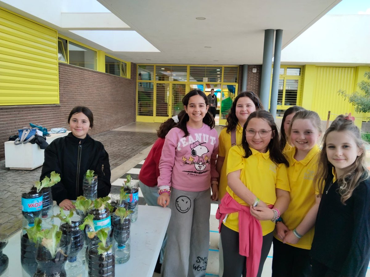 intlinksglobal's tweet photo. Pupils from Ysgol Dyffryn Ardudwy had an unforgettable visit to CEIP Flor de Azahar in Málaga as part of an exciting Taith exchange! 🌍✈️🇪🇸 

#TaithWales #SchoolExchange #GlobalLearning @CEIPFlorAzahar #ysgoldyffrynardudwy @TaithWales #Cymru #Wales #Spain #Sbaen https://t.co/9o0IKfrIXC