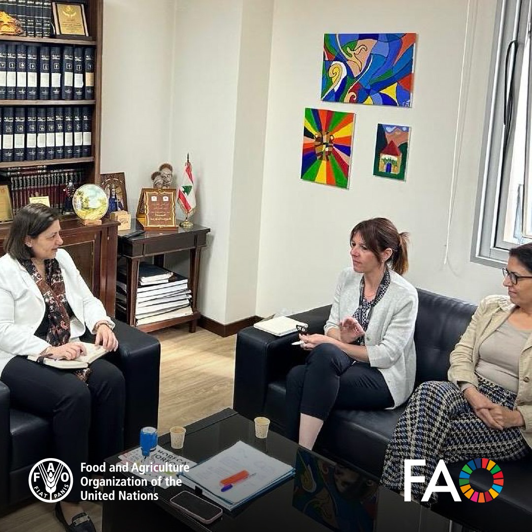 FAO in Lebanon tweet media
