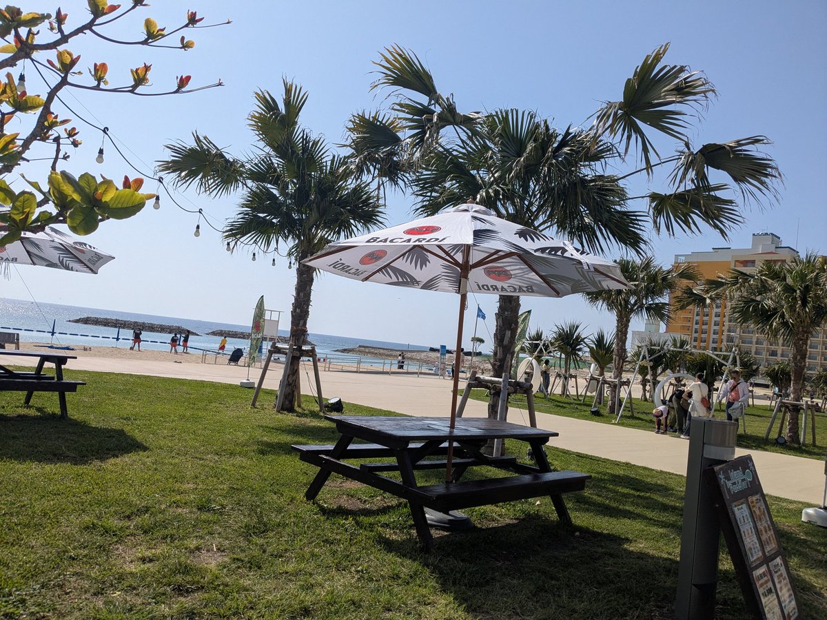tatsuki_big3's tweet photo. 沖縄来ました！🌺🌊
暖かかったので海に入りました！
#筋トレ好きな人と繋がりたい
#day1 https://t.co/r9BC2zJewh