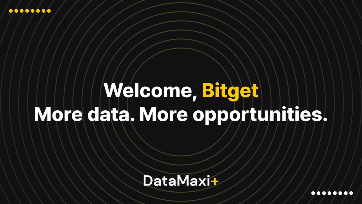 DataMaxi+ tweet media