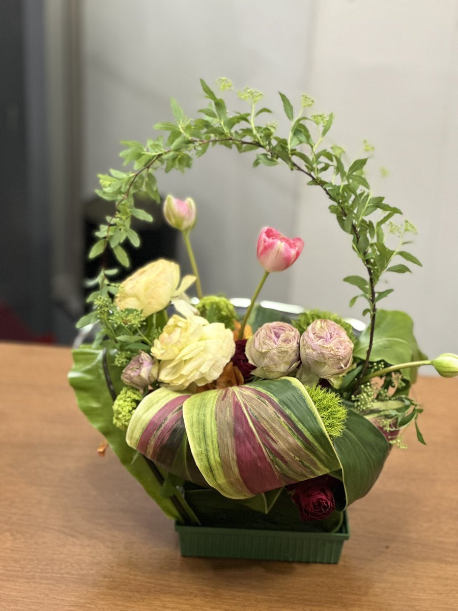 Dhiver_fleur's tweet photo. グリーンにピンクやクリーム色が混じった華やかな葉っぱはハワイアンフラッグです。毎日文化センター「パリのお花屋さん講座」では、今日、この葉っぱで器を作りました。きれいな色を魅せるために工夫されていて、個性的で素敵でした！ https://t.co/C7EDjJ7TUm