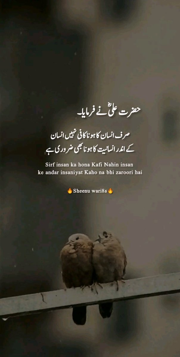 Good morning x family 😘🌻🔆 
آنا خاتم النبیین لا نبی بعدی 🍁🥀❣️
درود و سلام 🥀💕 
انسانیت ایمان کا ایک حصہ ہے 👀💯