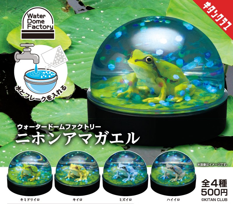 📢発売情報／ 自分で作るカプセルレスシリーズ最新作✨ カプセルに水と