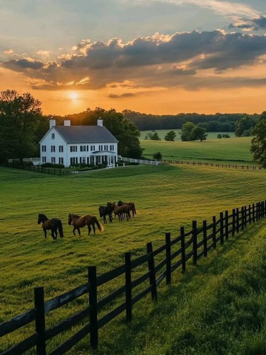 Guten Morgen ☀️ zusammen 💫