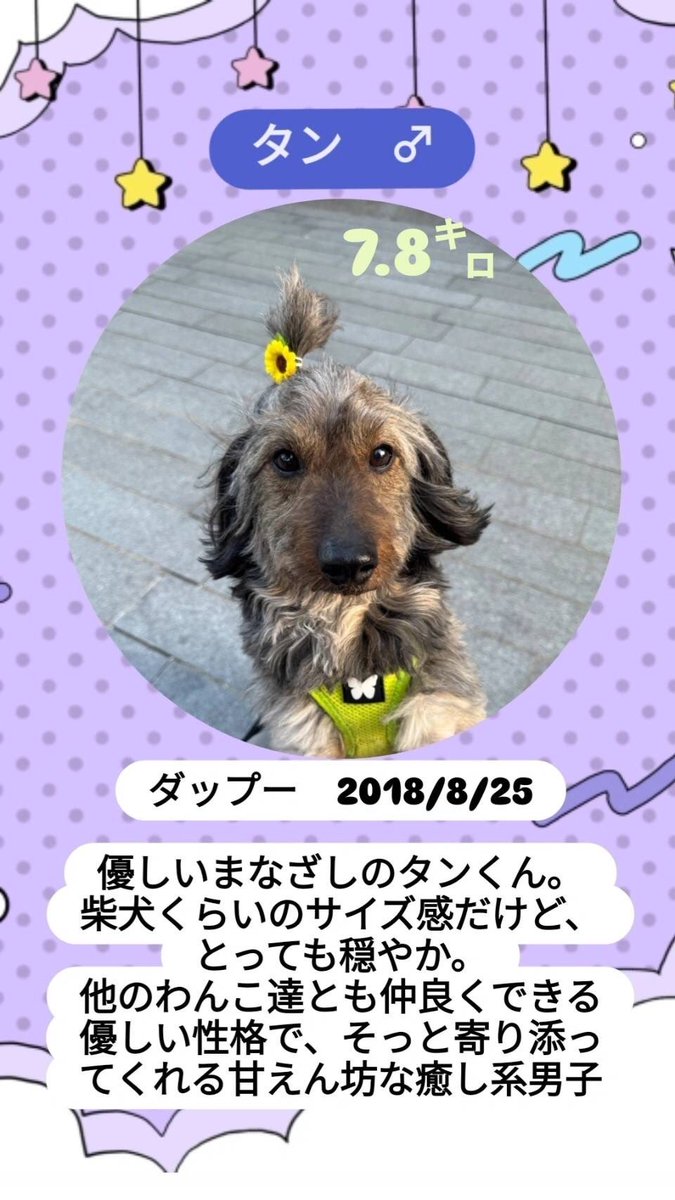 3jl9Tb's tweet photo. 拡散希望 https://t.co/xEPYmJblKP