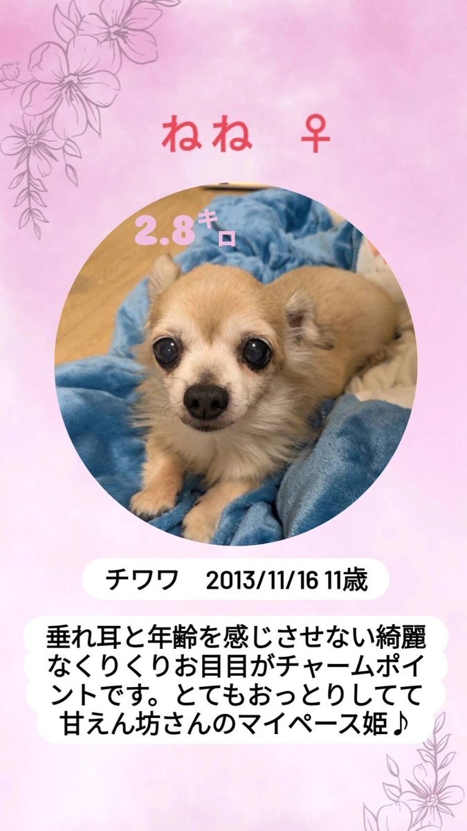 3jl9Tb's tweet photo. 拡散希望 https://t.co/xEPYmJblKP