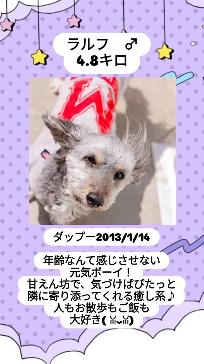 3jl9Tb's tweet photo. 拡散希望 https://t.co/xEPYmJblKP