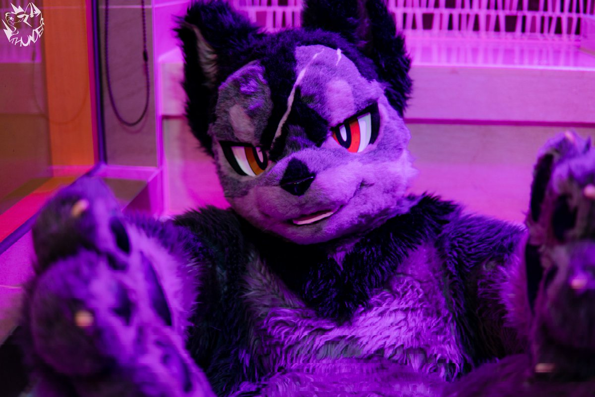 OokamiAku's tweet photo. #FursuitFriday 
一緒に入ろう♨️？

📸： @wolf26989 https://t.co/rwnwrwyvDZ