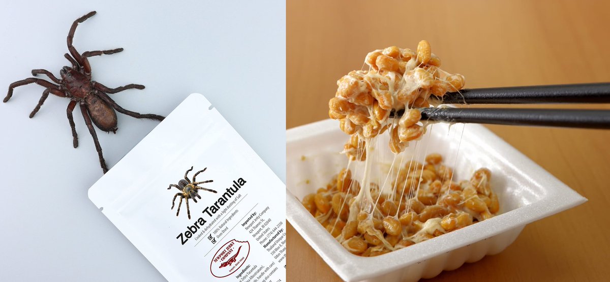 TheBardicNick's tweet photo. So my stream friends are deciding what I should do when I reach 700 followers on Twitch. The debate so far is between eating Natto (?) and a Tarantula.

Until today I haven't heard of Natto, but I'd likely prefer it over eating bugs/arachnids!

https://t.co/jNDW18xTJV https://t.co/LlEnJKJwM3