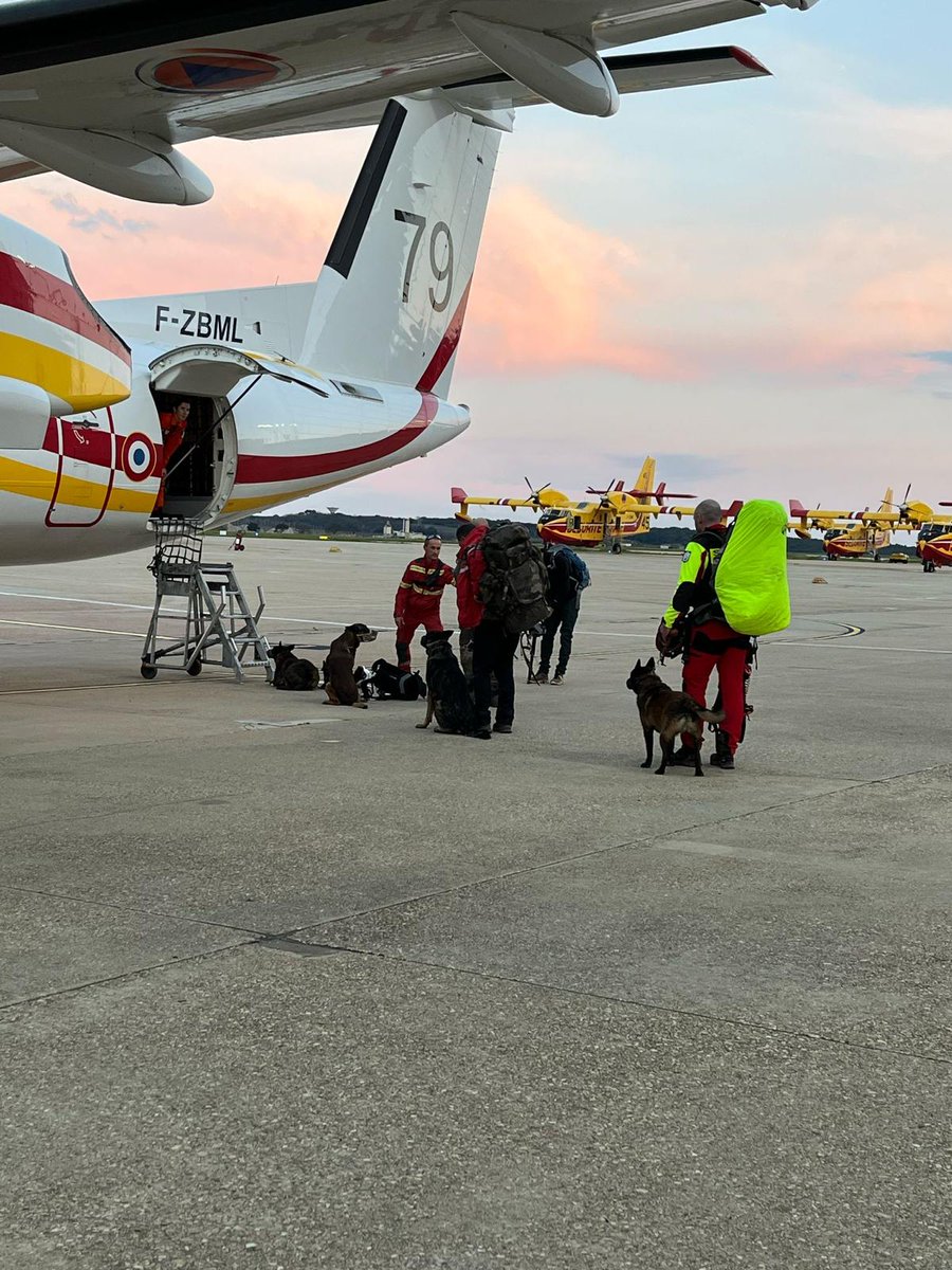 sdis68's tweet image. 🐕Le sgt P.S, conducteur cynotechnique au #SIS68 et son chien Rico ont participé à l’exercice international SWAN organisé par l&apos;#UIISC7 : 96h d’autonomie, missions jour et nuit, en France et en Espagne. 

✅1 binôme exemplaire👏
✅Importance de la préparation opérationnelle🚨