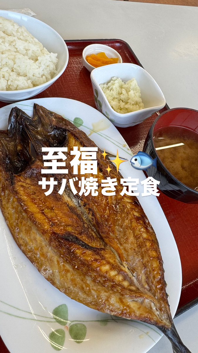 chibi660's tweet photo. しあわ🥰🐟❤️ https://t.co/MUTNvhaCqm