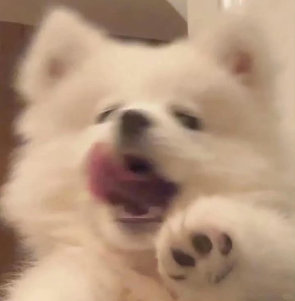 怎么没有人sj（靠谱的那种）