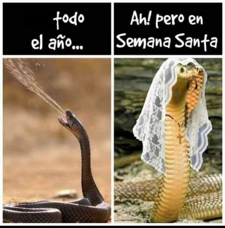 anonimo_jones's tweet photo. Se acerca la Semana Santa y... https://t.co/6IOhEFyKks