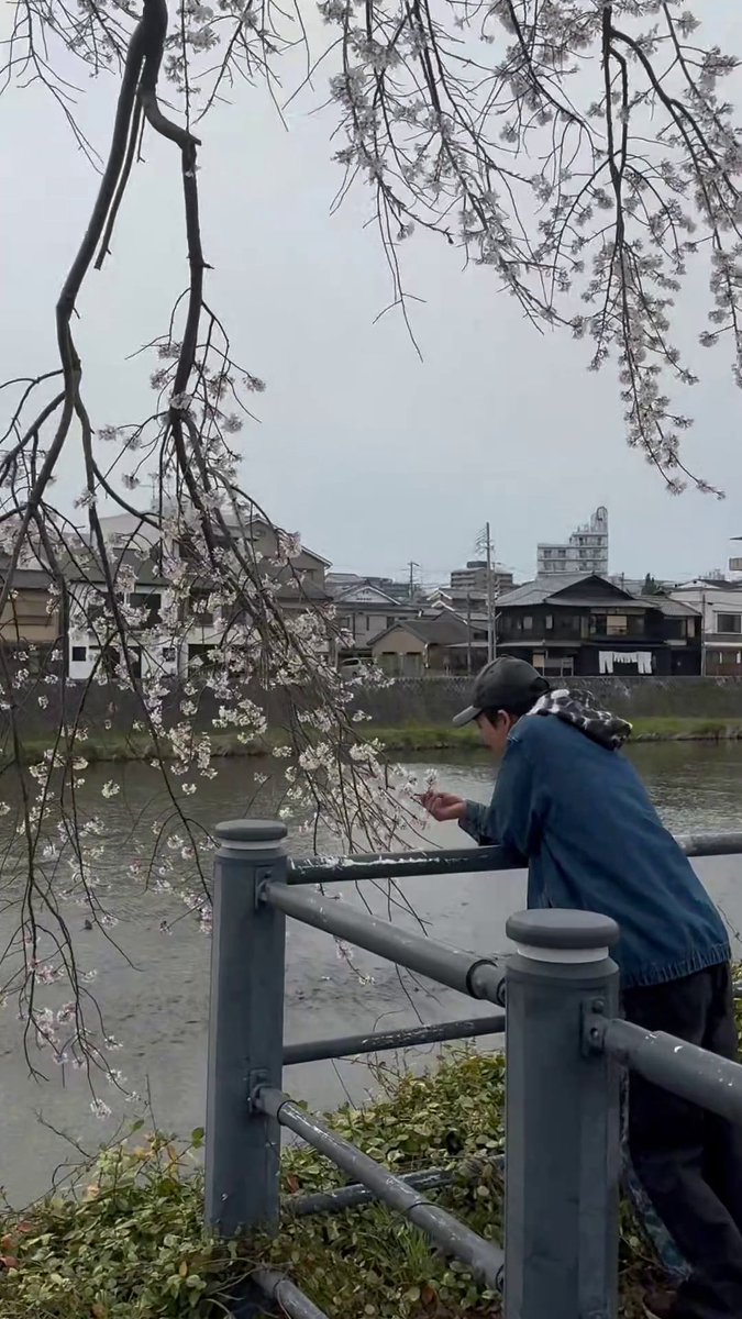 19hoursmagic's tweet photo. #magicHour
京都
✅https://t.co/V6csFPQgpK

1st Album “MAGICHOUR”out now🎧
✅https://t.co/Ik42nrojk0

#19hoursmagic https://t.co/drWdC1Fajy