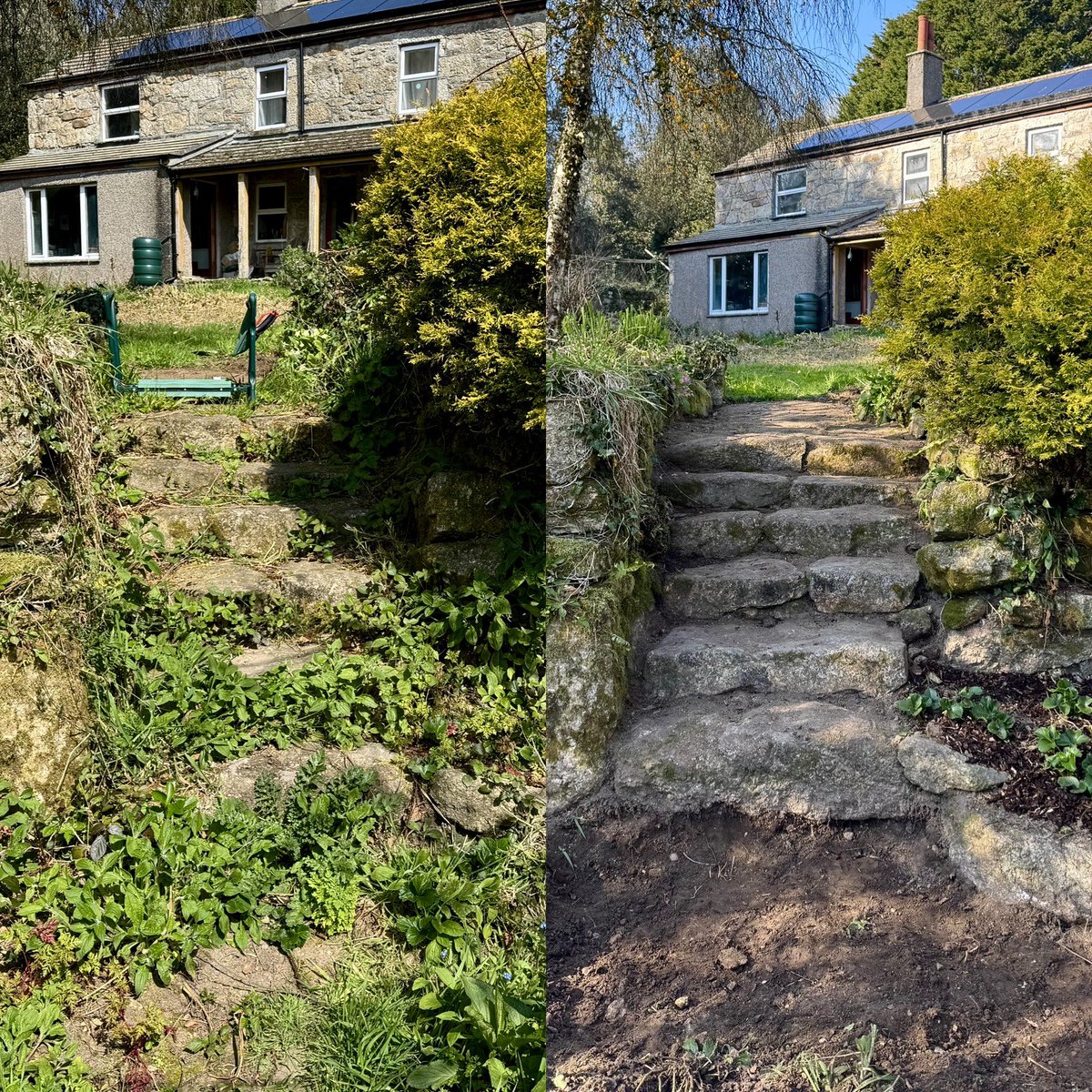 sarahmcquaid's tweet photo. #Garden update! Yesterday Feargal @FeargalShiels planted #potatoes while I cleared the steps down to lower garden & weeded & mulched my poor neglected #berrypatch — delighted to find -> https://t.co/mMcmohcmsa