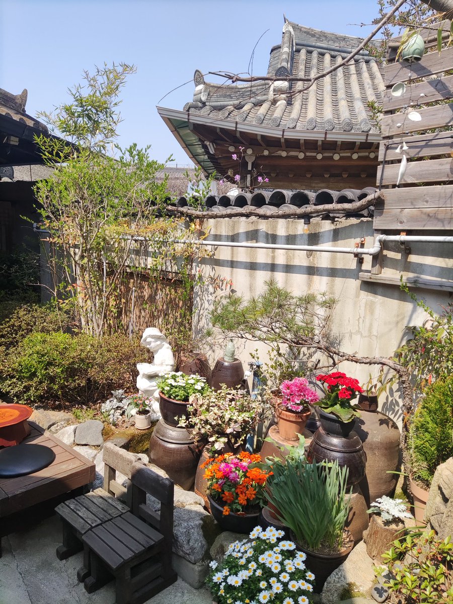 funghimd's tweet photo. 전주 차경
한옥마을에 있는 카페
카페 인테리어와 풍경 다 예쁜데 내가 사진을 못 찍어서,,,고구마 양갱이랑 화이트템플차가 맛있었다 https://t.co/CWkiihGMeX