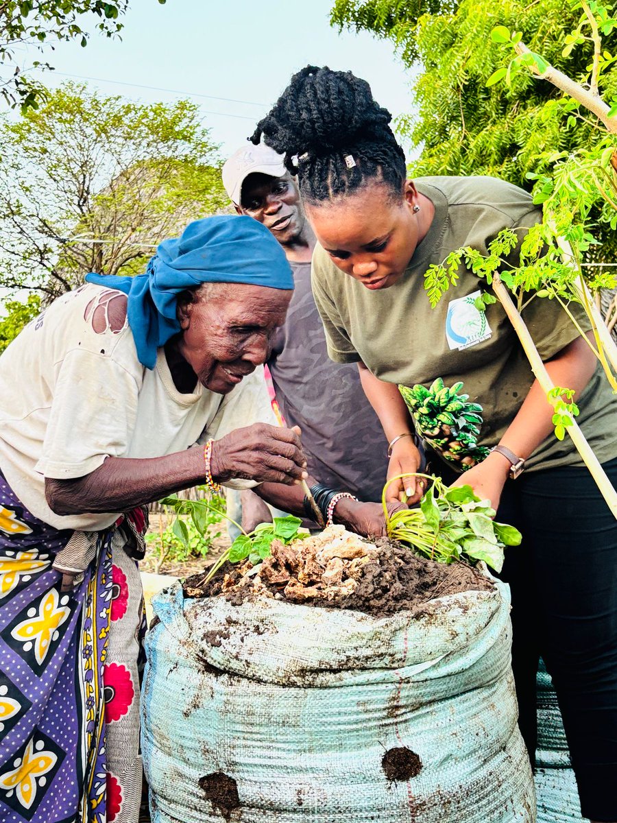 After a morning of teamwork, women fetching water, men mixing soil and manure, and Shella Environmental Youth Group assembling sacks, we moved straight into planting.

The most heartwarming part? Watching the elderly take the lead.