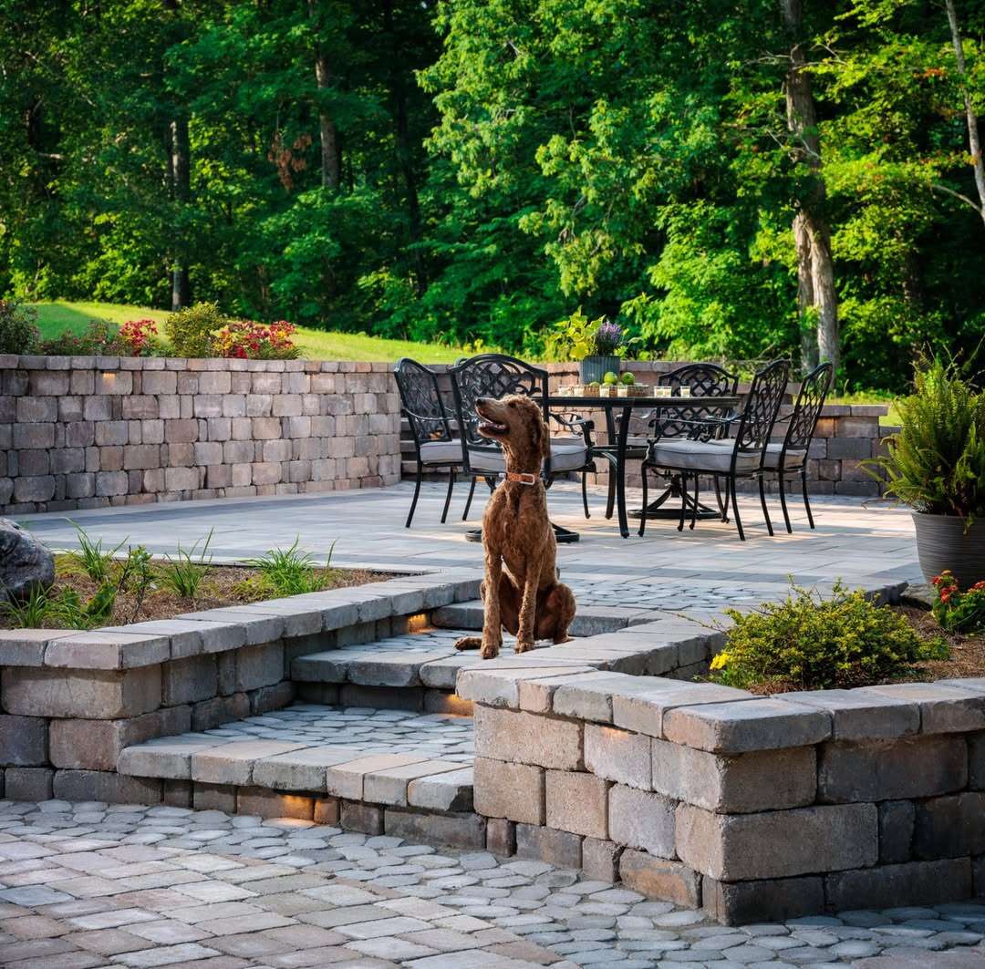 Tru_Scapes's tweet photo. Experience your outdoor space in a whole new light!  Whether you're looking for a warm inviting glow for a relaxed evening, or a bold statement to enhance your design,,,@belgardoutdoorliving and Tru-Scapes can help you create the perfect outdoor space! https://t.co/YJMOgLGuoe