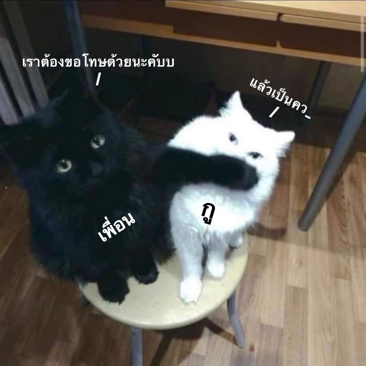 beeem_15's tweet photo. กูโตมาขนาดนี้ได้ไงวะ https://t.co/ueirSW8c6S