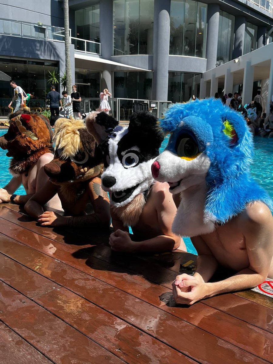 Never thought I’d experience PCD like this 😢

Anyway here’s a pool photo with:
🦦: <a href="/OtterJulius/">Otter Julius, Imperator.</a> 
🐶: <a href="/micky_u1/">MickyU! 🎶||</a> 
🦊: @ louieth3fox on ig