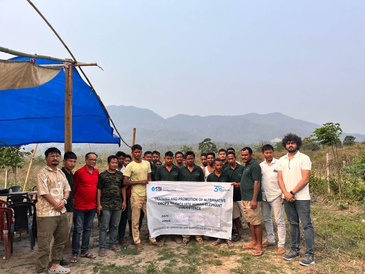 aaranyak's tweet photo. Aaranyak with support from @SBI_FOUNDATION conducted a training on #AlternativeCrops in Onthaibari village in Baksa district of Assam focused on promoting alternative crops that are less palatable to elephants, aiming to address the pressing issue of crop foraging by elephants. https://t.co/RZzhMWIeiQ