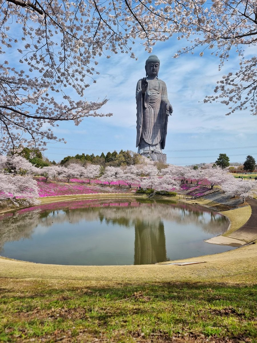牛久大仏