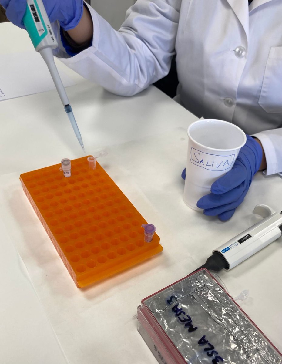 At <a href="/CifpDe/">CIFP Politécnico de Murcia</a> , we perform genetic studies with saliva that involve saliva collection and DNA extraction🧬.
It is the first step for further analysis, like PCR, sequencing, hybridation techniques, among others. 📷 Our students are working really hard to master it. #SalivaScience
