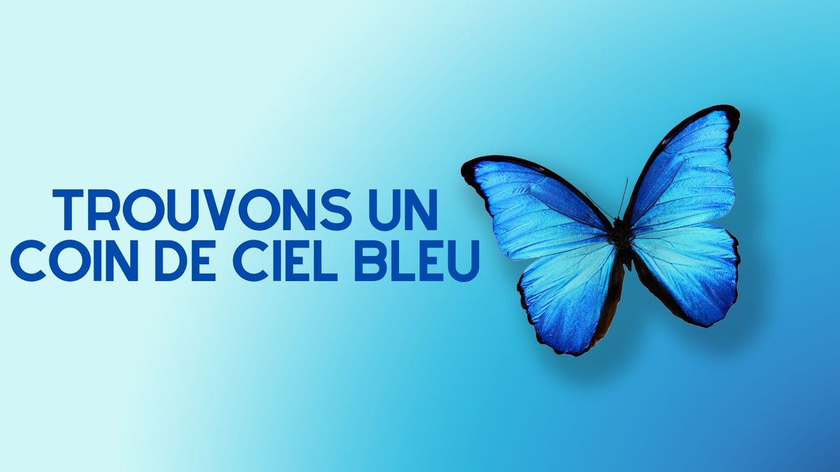 Yan Chantrel tweet media