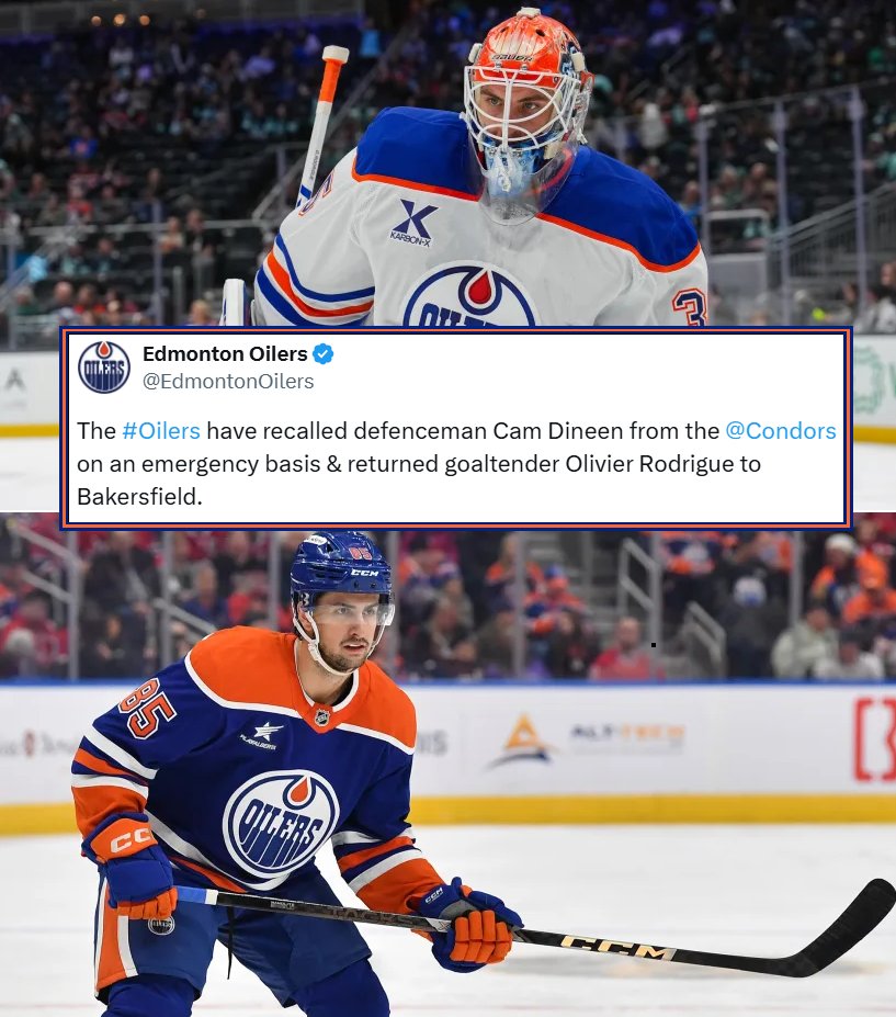 OADSBW's tweet photo. The Oilers have recalled defenceman Cam Dineen 
from the Condors on an emergency basis 
&amp; returned goaltender Olivier Rodrigue to Bakersfield. https://t.co/gEMs7Dya8p